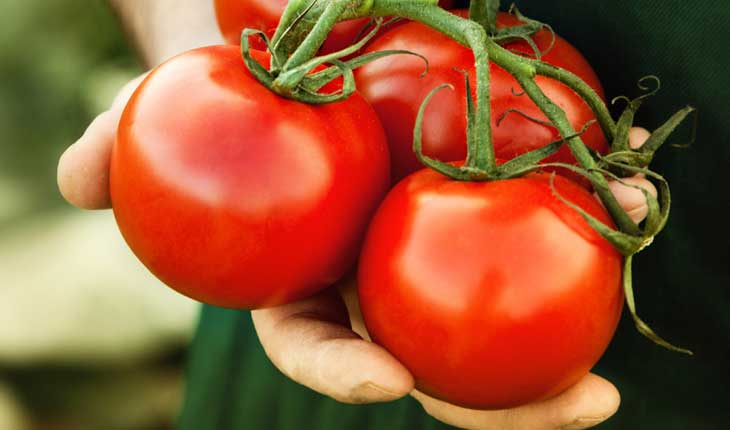 Cà chua- Thực phẩm tốt cho tinh trùng