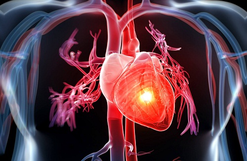 Thận yếu gây ảnh hưởng đến tim mạch