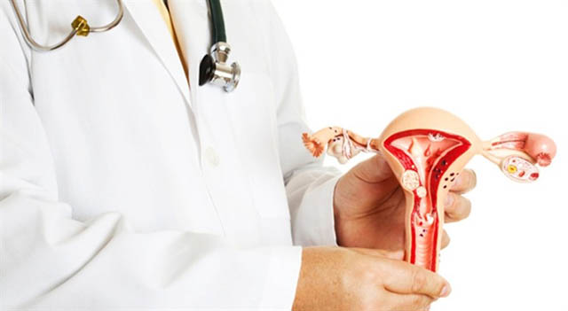 Những trục trặc ở cơ quan sinh sản đều có thể ảnh hưởng đến khả năng thụ thai